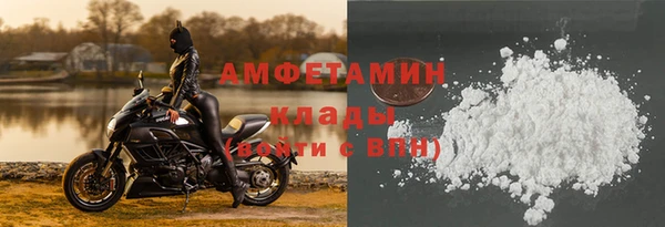 прущие грибы Арсеньев
