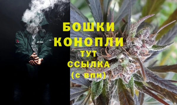 прущие грибы Арсеньев