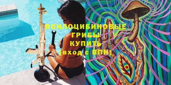 спайс Аркадак