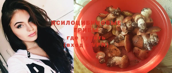 прущие грибы Арсеньев