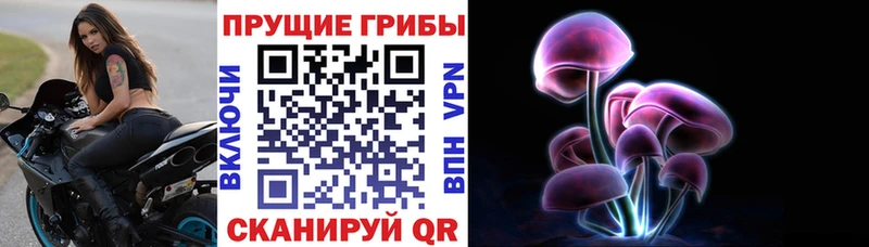Купить  Гай  Галлюциногенные грибы мицелий 