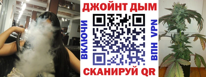 Купить где  Гай  Канабис сатива 